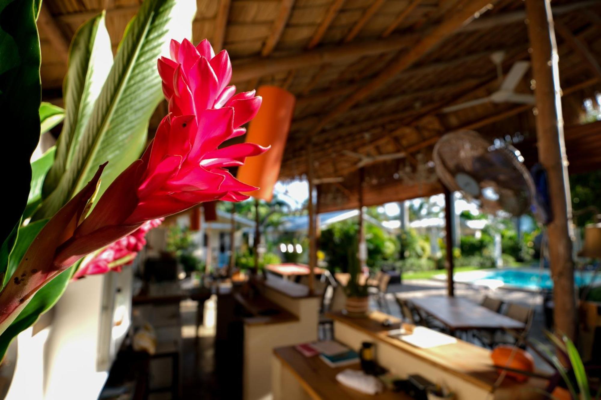 Hotel Enjoy Las Terrenas Buitenkant foto