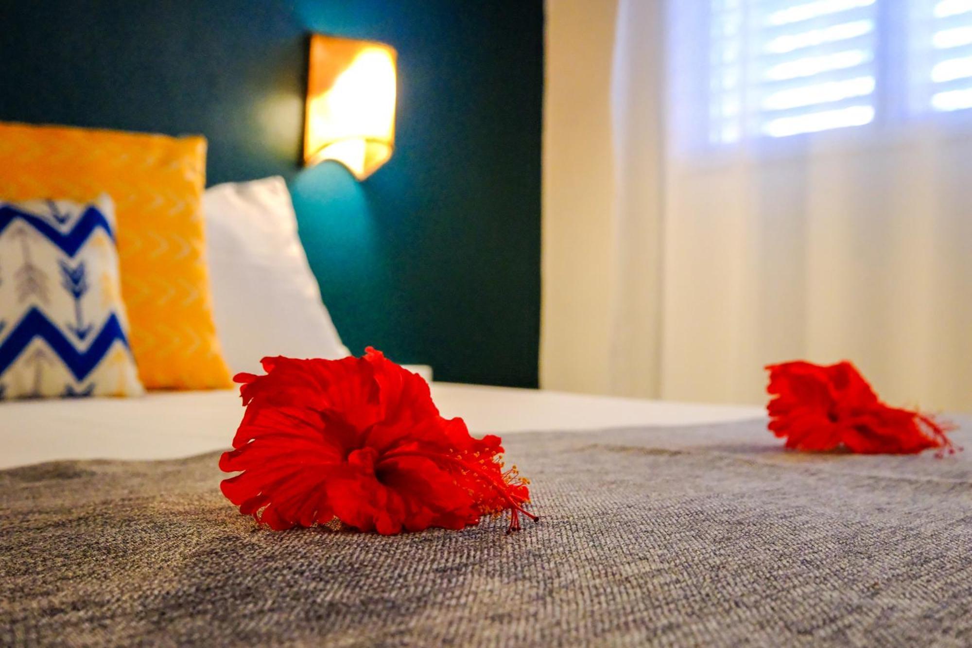 Hotel Enjoy Las Terrenas Kamer foto